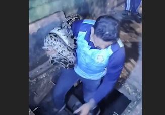 Dharavi Mein 9-Foot Lamba Snake Rescued, Police Constable Ki Alertness Se Bachi Badi Ghatna