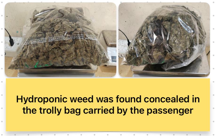 Mumbai Airport Par Customs Ki Badi Karwai, ₹61 Crore Ki Hydroponic Weed Aur Diamonds-Gold Seize