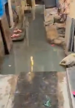 Goregoan west  Bhagat singh nagar no 1  Beside Renuka Mata Mandir  Mumbai 400104  Nagar sevak name  Word no 157