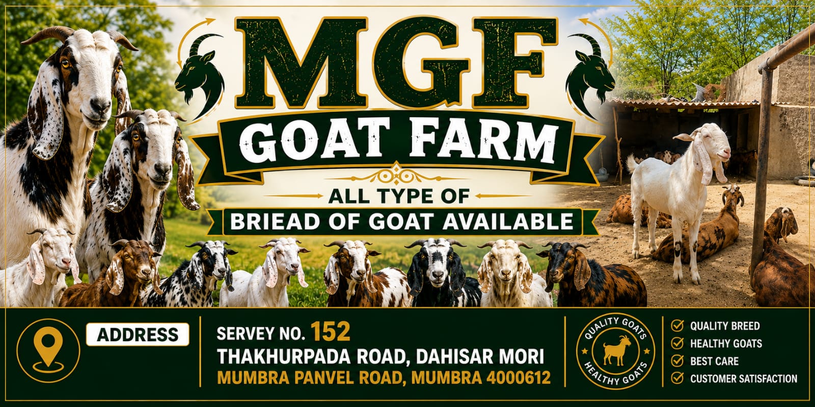 MGF GOAT FARM KI PEHLI SHAANDAAR BAKRA MANDI