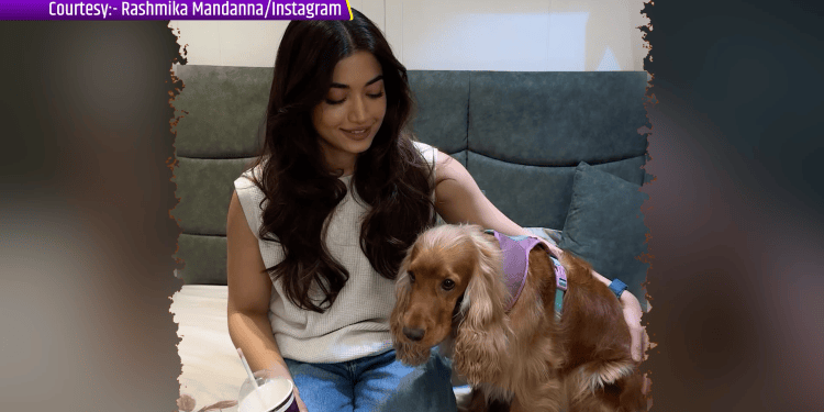Rashmika Mandanna ne apne pet dog Aura ke saath share kiye pyaare pal, bolin “Tiny moments of happiness”