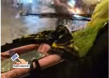 Kurla baba faluda ka hai salim bhai