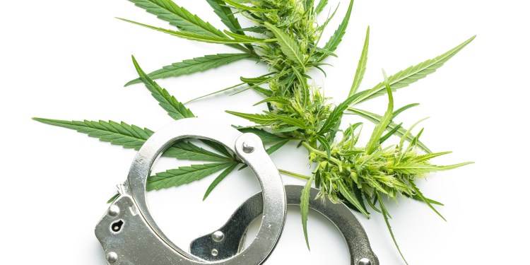 Bangkok Se Mumbai Laaya ₹2.05 Crore Ka Hydroponic Weed! Gujarat Ka Yuvak Airport Par Girftar