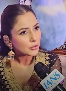 Shehnaaz Gill Opens Up About Her Role in Ishqnama