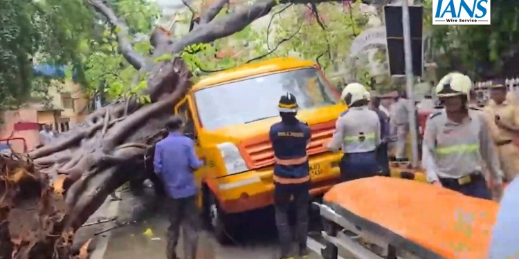 Chembur Mein School Bus Par Ped Girne Se 11 Saal Ke Student Ki Maut, Kai Ghayal