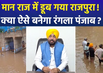 Rain Exposes the Mann Government: Rajpura Submerged, Residents in Distress!