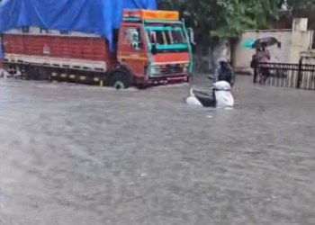 Kurla kamani