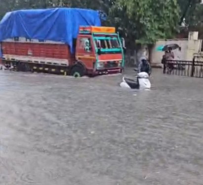 Kurla kamani