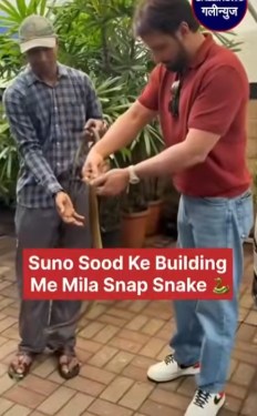 Suno Sood Ke Building Me Mila Snap Snake 🐍