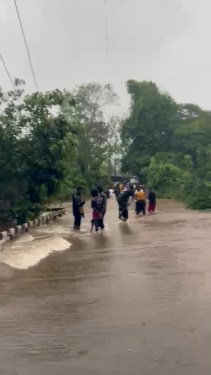 Aarey colony