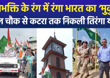 Jammu and Kashmir Drenched in Tricolour Hues; Patriotic Slogans Resonate