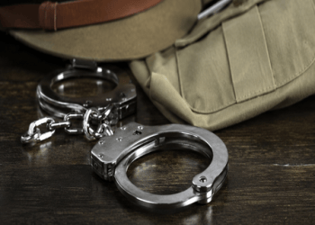 Delhi Police recovers 30 rolls of banned Chinese manja, one arrested