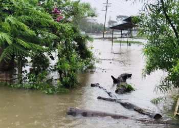 Heavy rain wreaks havoc across MP; five bodies recovered after car swept away, 3 missing