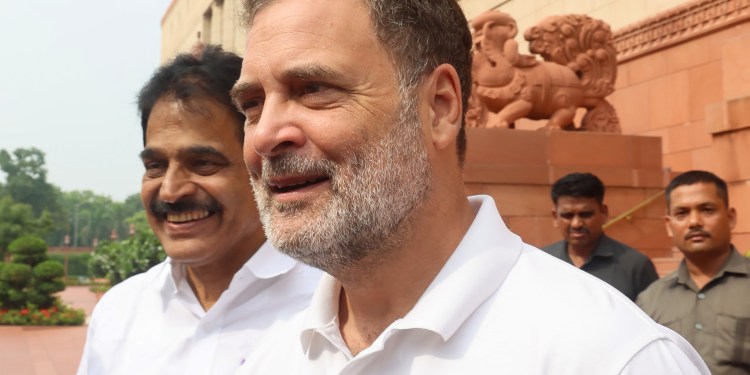 Rahul Gandhi moves SC against Allahabad HC order on disproportionate assets allegations