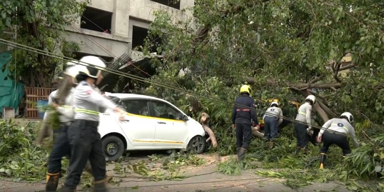 Huge tree falls on parked cars near Churchgate station