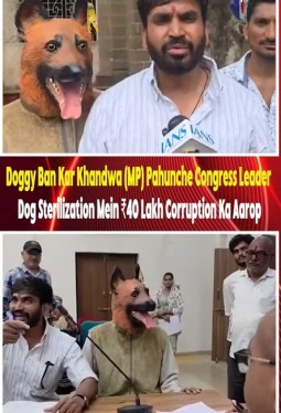 Doggy Ban Kar Khandwa (MP) Pahunche Congress Leader