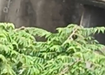 Jogeshwari
