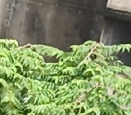 Jogeshwari