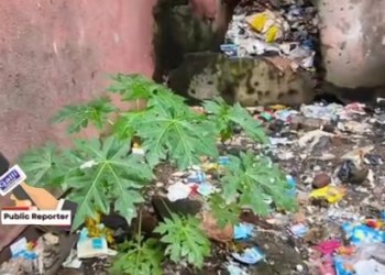 Ghoghari mohalla