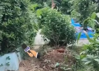 Limbu and Nariyal on Kabar ?? At Narialwadi kabristan Reay Road