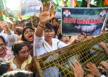 Congress has no right to speak on Kaziranga: Assam CM