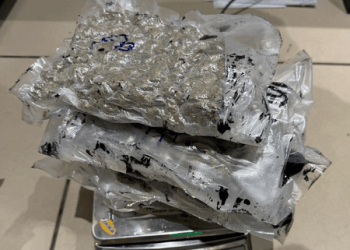After 6-kg haul, Ahmedabad Airport Customs seizes another 1.93 kg hydroponic marijuana