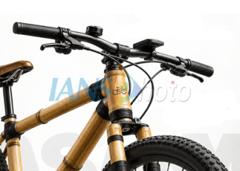 Assam govt launches bamboo bicycle initiative for green future