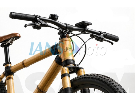 Assam govt launches bamboo bicycle initiative for green future