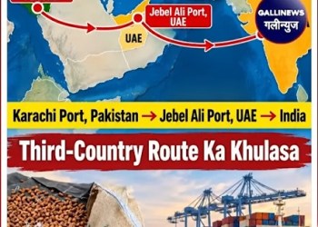 Pakistan Se UAE Route Ke Zariye India Laaye Ja Rahe 362 Metric Ton Sukhe Khajoor Seize