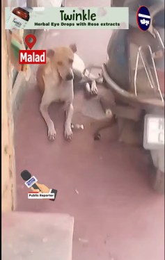 Malad