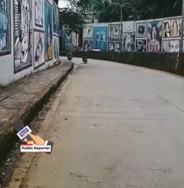 Aarey
