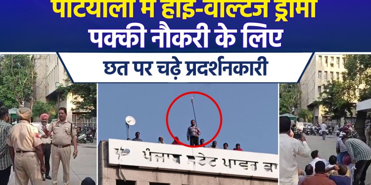 Protest for jobs in Patiala; concern rises as women and a child scale PSPCL headquarters roof