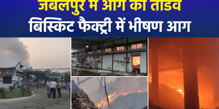 Major Fire at Biscuit Factory in Jabalpur; Significant Losses Feared