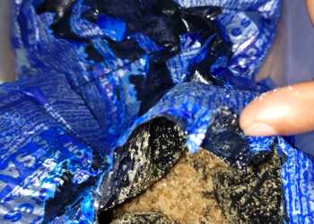 DRI Nagpur seizes 1.312 kg amphetamine from woman on train
