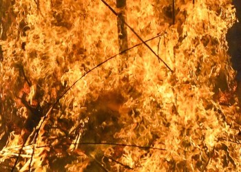 MP: Bus catches fire near Ujjain after tyre burst, passengers escape unhurt
