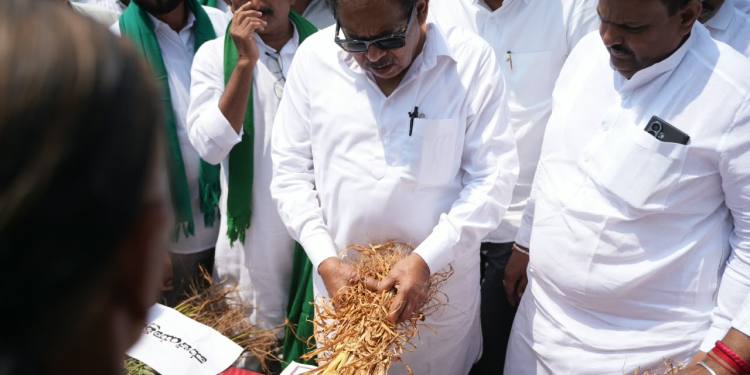 Drought in Karnataka becoming severe; Rs 2,500 each given to 50 lakh farmers as first relief instalment, says Dy CM Parameshwara
