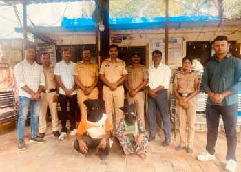 Maha: Woman beaten to death with hammer over minor dispute in Palghar; two arrested