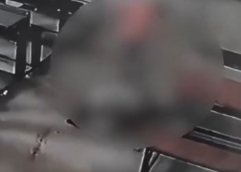 Haryana horror: 6-year-old girl assaulted by Class 3 student in Panchkula school with brick; family questions security lapse