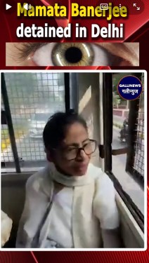 Mamata Banerjee  detained in Delhi