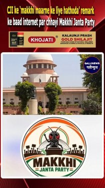 CJI ke ‘makkhi maarne ke liye hathoda’ remark ke baad internet par chhayi Makkhi Janta Party, CJP ke saath milkar kaam karne ki taiyari.*