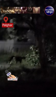 Palghar