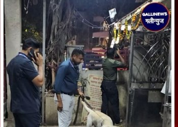 Mumbai: Bhayandar Railway Station Aur Police Station Ko Bomb Se Udaane Ki Dhamki, Talaashi Mein Kuch Nahi Mila.