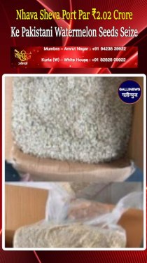 Nhava Sheva Port Par ₹2.02 Crore Ke Pakistani Watermelon Seeds Seize, Do Log Giraftar.