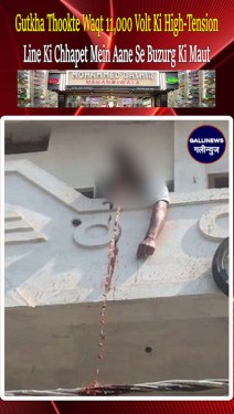 Madhya Pradesh: Gutkha Thookte Waqt 11,000 Volt Ki High-Tension Line Ki Chhapet Mein Aane Se Buzurg Ki Maut.