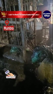 Mumbra