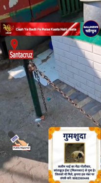 Santacruz