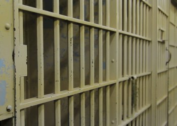 Mumbai: Indian EMU Life Company Ke Director Aur 2 Office Bearers Ko 6 Saal Ki Jail, Investors Se ₹89.18 Lakh Ki Dhokha-Dhadi Ka Maamla.